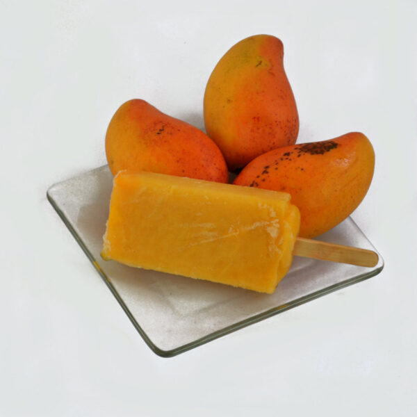 Paleta de Mango