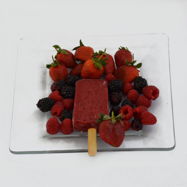 Paleta de Frutos Rojos